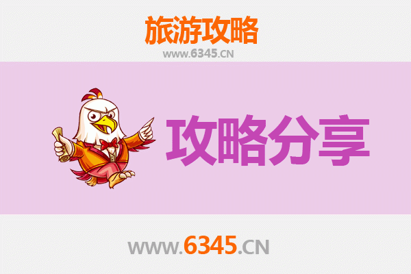 柳州鹿寨至湄洲岛旅游攻略：跟团还是自由行？资深博主深度解析